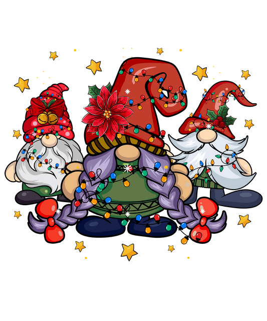 Christmas Gnome 1